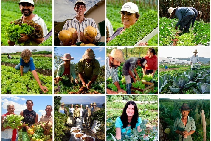 Estado e Fundação Amaggi firmam parceria para fortalecer agricultura familiar
