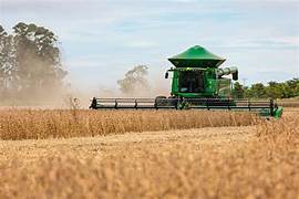 A Nova Rota da Soja: Brasil Ignora Vetos da Europa e Sela Aliança Bilionária com a China para Garantir Hegemonia no Agro