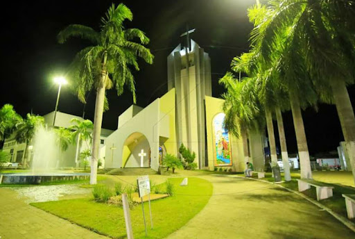 Paróquia Papa São João XXIII divulga programação do Domingo de Ramos em Colíder; veja horários