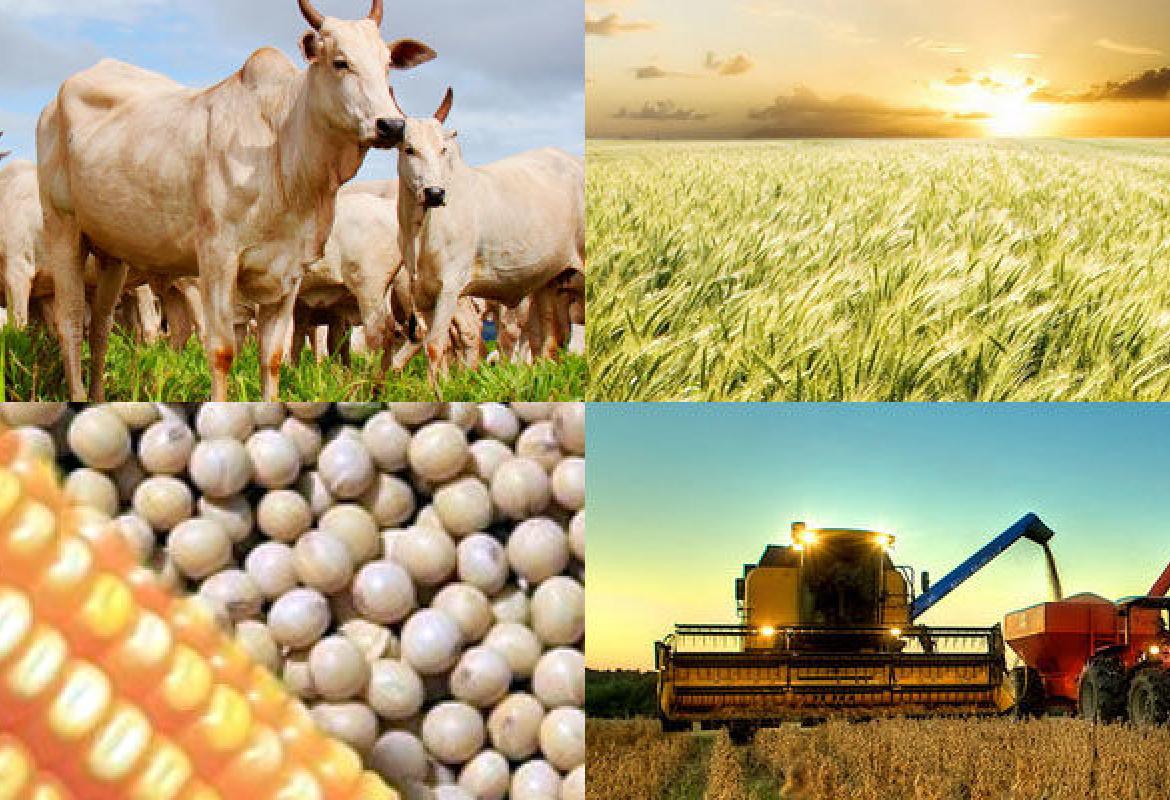Mato Grosso é o motor do emprego no Brasil: Agro gera mais de 12 mil novas vagas em 2026