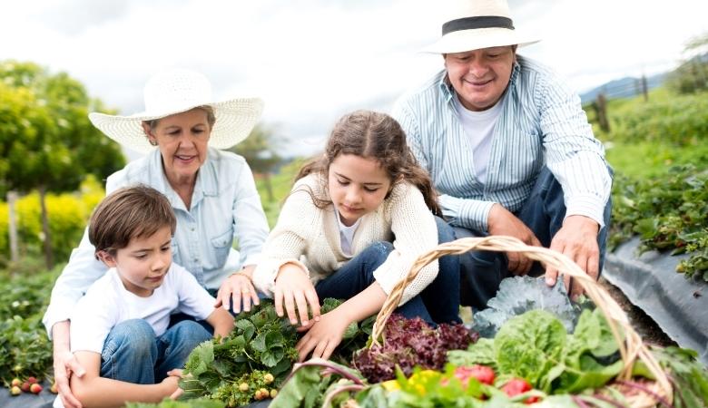 Segurança no campo: Saiba como o Seguro da Agricultura Familiar e o Garantia-Safra protegem quem produz