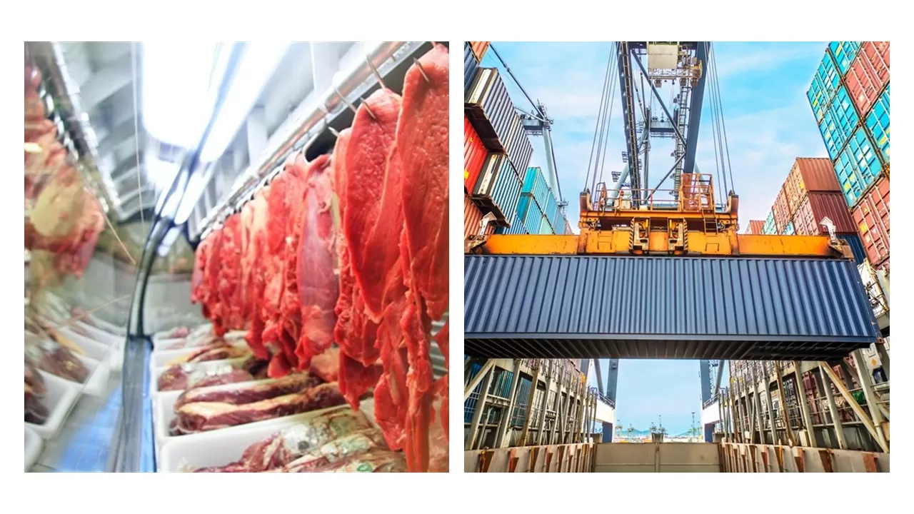 Mato Grosso bate recorde histórico e lidera exportações de carne bovina no 1º trimestre de 2026