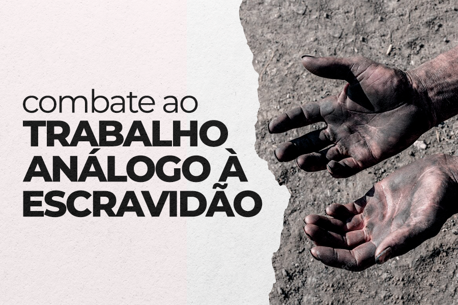 Combate à Exploração: Mato Grosso registra 3 casos de trabalho escravo em apenas quatro meses; Estado lidera ranking nacional