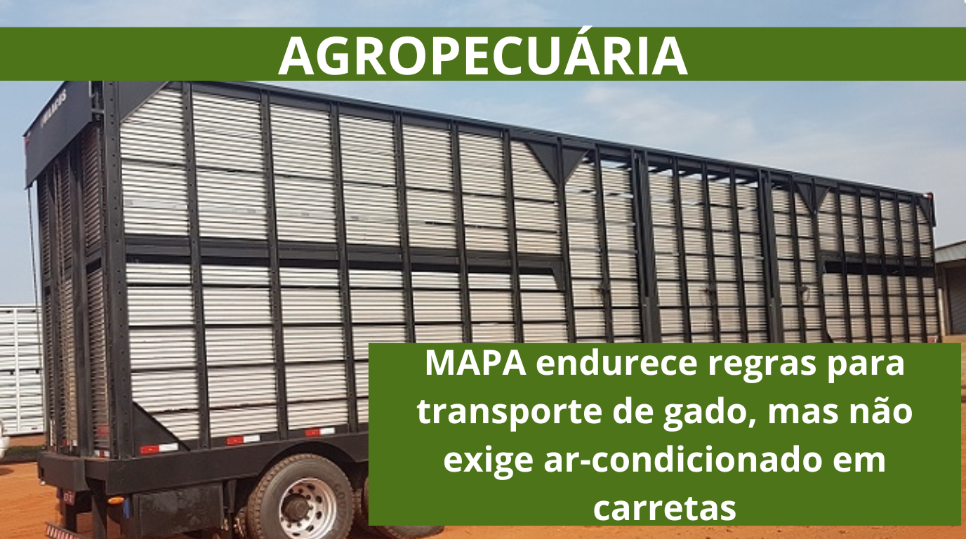 Brasil: MAPA endurece regras para transporte de gado, mas não exige ar-condicionado em carretas Brasil: MAPA endurece regras para transporte de gado, mas não exige ar-condicionado em carretas
