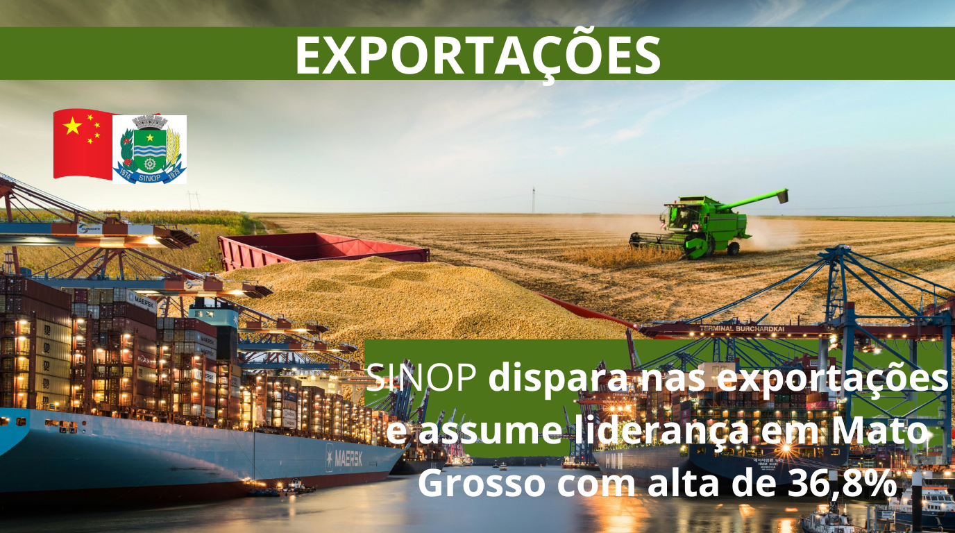 Sinop dispara nas exportações e assume liderança em Mato Grosso com alta de 36,8% Sinop dispara nas exportações e assume liderança em Mato Grosso com alta de 36,8%