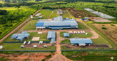 EXCLUSIVO: O ‘Dia Seguinte’ no Vale do Guaporé: Sem Respostas do Grupo BMG Foods, Pecuaristas Iniciam Desmanche Operacional para Recuperar Prejuízo