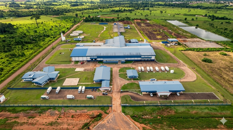EXCLUSIVO: O ‘Dia Seguinte’ no Vale do Guaporé: Sem Respostas do Grupo BMG Foods, Pecuaristas Iniciam Desmanche Operacional para Recuperar Prejuízo