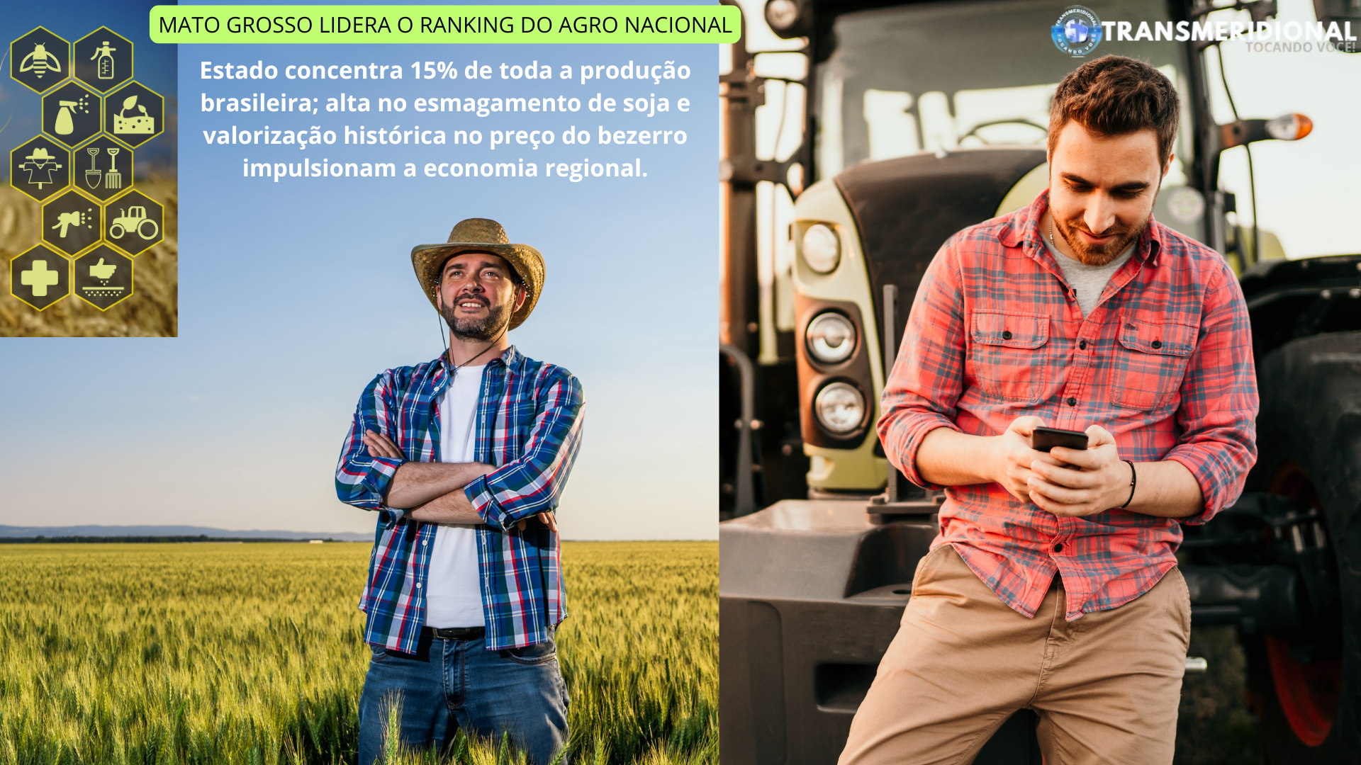 Mato Grosso consolida sua posição como a principal potência do agronegócio brasileiro em 2026