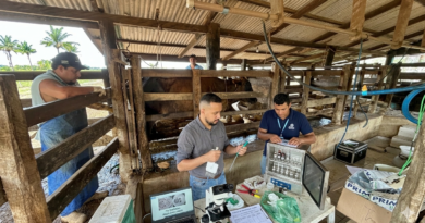 Pequenos produtores de Colíder vão produzir mais de 25 litros de leite por dia com programa de fertilização de embriões