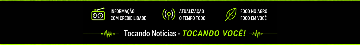TransMeridional Web
